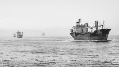 black sea