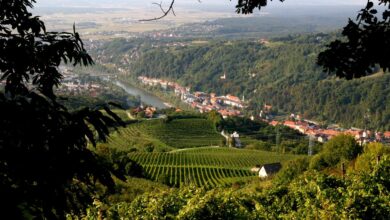 krsko z milijonskimi nalozbami spreminja solsko prihodnost 6a990cf1c2c6d 1788415217