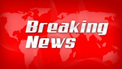 nemski politicni tabu pred padcem afd do vecine manjkajo le trije sedezi bsw odpira vrata sodelovanju 6aa014f5d1ae0 1788876021