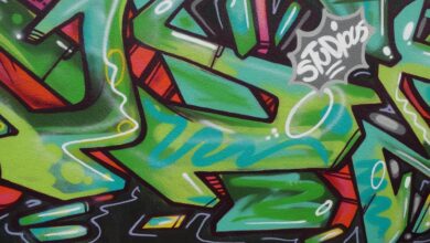 odziv jankovica na grafite copova ulica pod drobnogledom 6aaf847676316 1789887606
