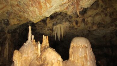 postojna praznuje mednarodni dan jam in krasa odkriva skrite zaklade 6aa6d6969af53 1789318806