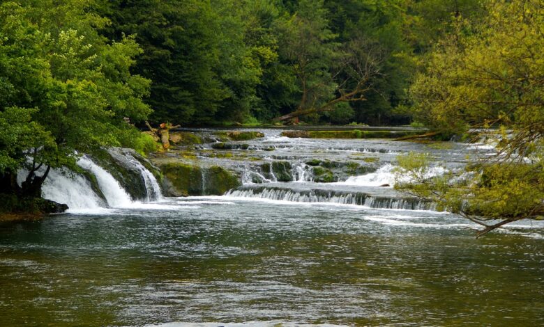Potapljači očistili Krko: Ekološka akcija združila več kot sto udeležencev #foto 1 potapljaci ocistili krko ekoloska akcija zdruzila vec kot sto udelezencev foto 6a9d0171a7491 1788674417