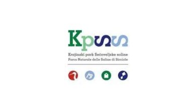 solinarski praznik v secovljah spoznajte tradicijo in inovacije foto 6a96f69887d00 1788278424