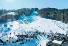 umetnisko prebujanje na gacah odkritje kocevarske dediscine 6abbfcb733c42 1790704823
