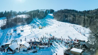umetnisko prebujanje na gacah odkritje kocevarske dediscine 6abbfcb733c42 1790704823