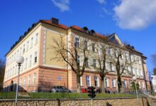 zlati maturanti iz novega mesta blestijo na mednarodni maturi 6ab8db23186fe 1790499619