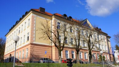 zlati maturanti iz novega mesta blestijo na mednarodni maturi 6ab8db23186fe 1790499619