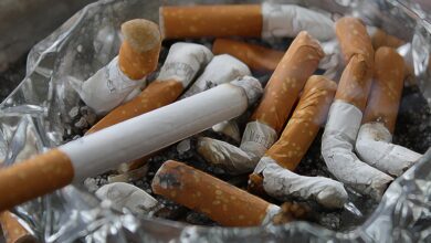 grozljivo odkritje ilegalne tovarne cigaret pri lendavi delavci naj bi bili 25 dni zaprti brez dnevne svetlobe v ozadju milijonski posel 6ad3472e7c4f6 1792231214