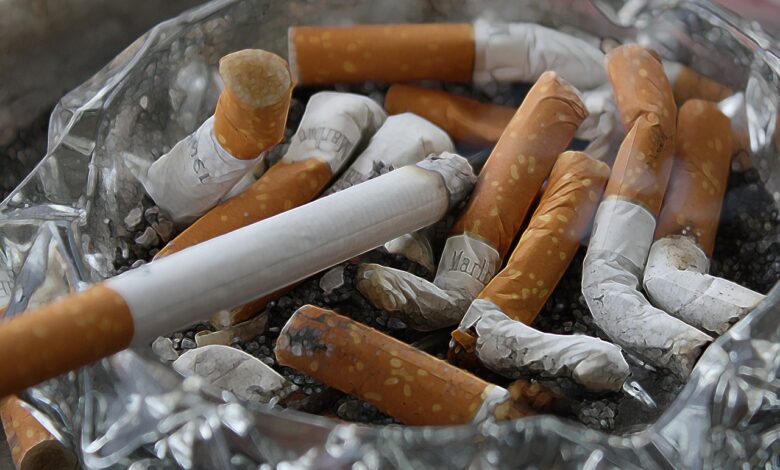 grozljivo odkritje ilegalne tovarne cigaret pri lendavi delavci naj bi bili 25 dni zaprti brez dnevne svetlobe v ozadju milijonski posel 6ad3472e7c4f6 1792231214