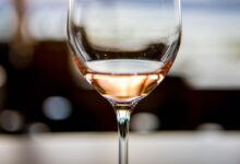 maribor ze disi po martinovanju devetnajst stajerskih vinarjev navdusilo v minoritski cerkvi 6ade5fd035260 1792958416