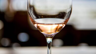 maribor ze disi po martinovanju devetnajst stajerskih vinarjev navdusilo v minoritski cerkvi 6ade5fd035260 1792958416