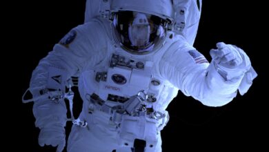 nasa in vesoljska semena paradiznikov presenetljivi rezultati eksperimenta 6ae4bf0e597d4 1793376014