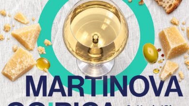 nova gorica se pripravlja na martinovo gorico bevkov trg bodo napolnili vino domace dobrote in glasba 6ae36d8a2458a 1793289610
