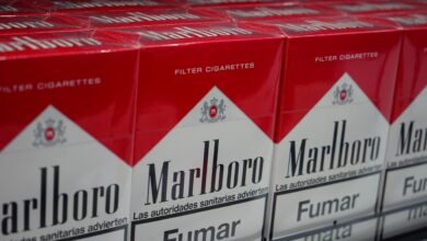 po lendavi se razkritje na hrvaskem dve nezakoniti tovarni cigaret kriminalisti pred pomembnim vprasanjem 6ad5b1f5038f5 1792389621