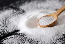 poletje je bilo naklonjeno belemu zlatu v secoveljskih solinah pricakujejo do 1500 ton soli 6abe83978aefc 1790870423