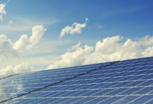 pri razcepu gabrk nastaja velika soncna elektrarna bo zaradi nje na krasu cenejsa tudi voda 6ad0f894e8f3f 1792080020