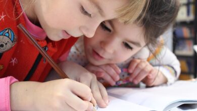 Na tisoče francoskih dijakov še naprej protestira: Zaprtje več sto šol v ponedeljek 5 school 1