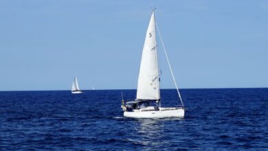 slovenski jadralec tomaz copi na vrhu barcolane arca ze cetrtic zapored nepremagljiva foto video 6acbb2915d9ec 1791734417